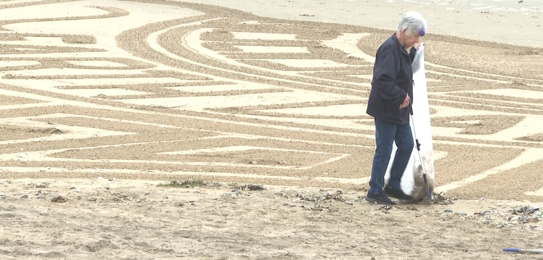 Volunteers pick up trash along Pismo Beach to celebrate Earth Day - Vimarsana News