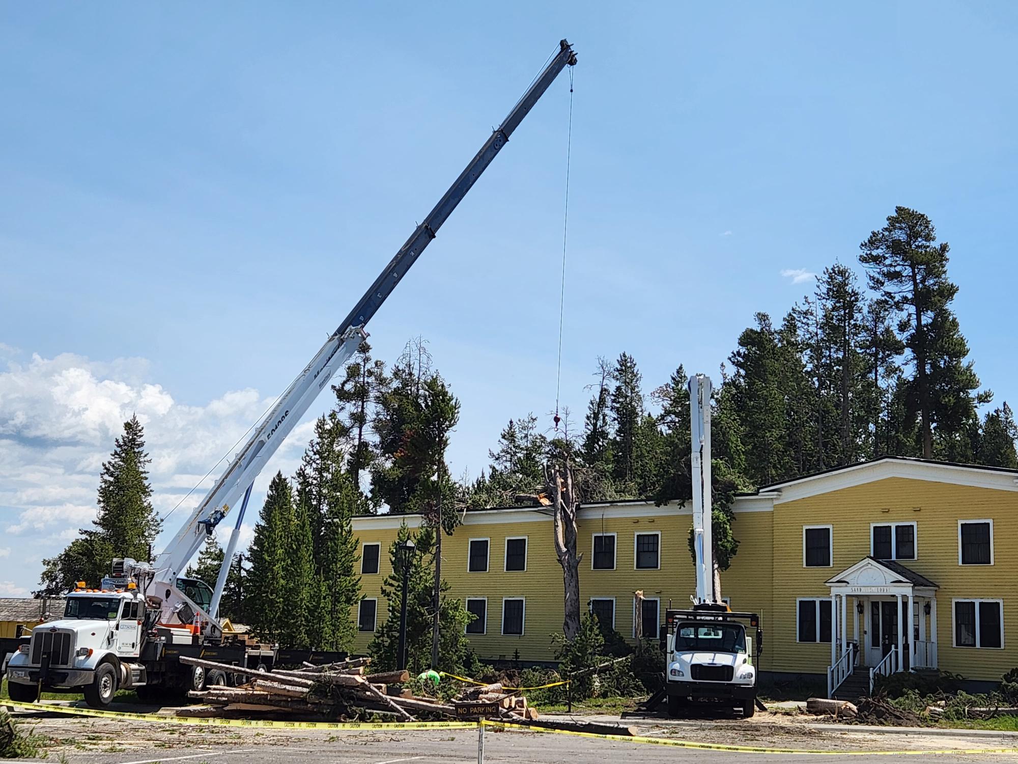 Intense, brief storm at Yellowstone Lake topples trees, rattles hotel employees - Vimarsana News