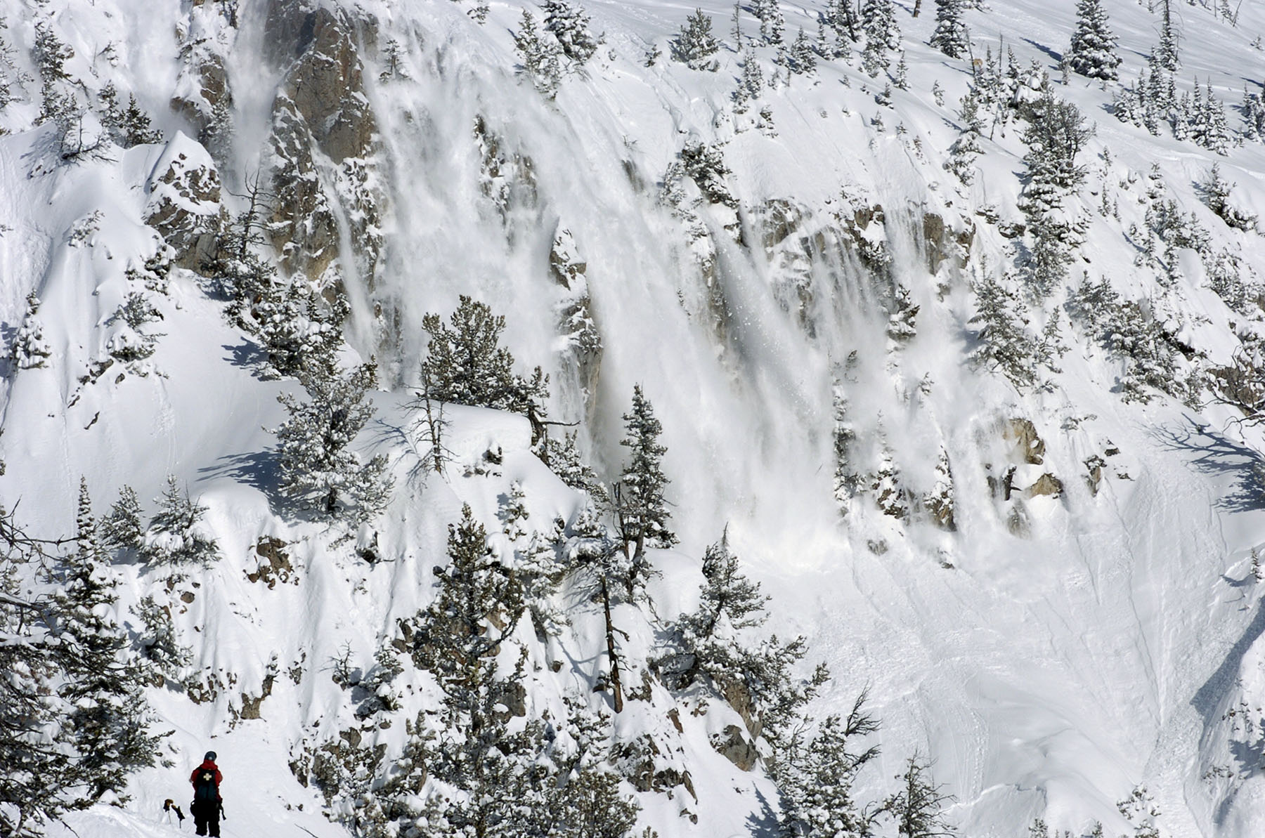 Montana State to host its 9th annual Snow and Avalanche Workshop - Vimarsana News