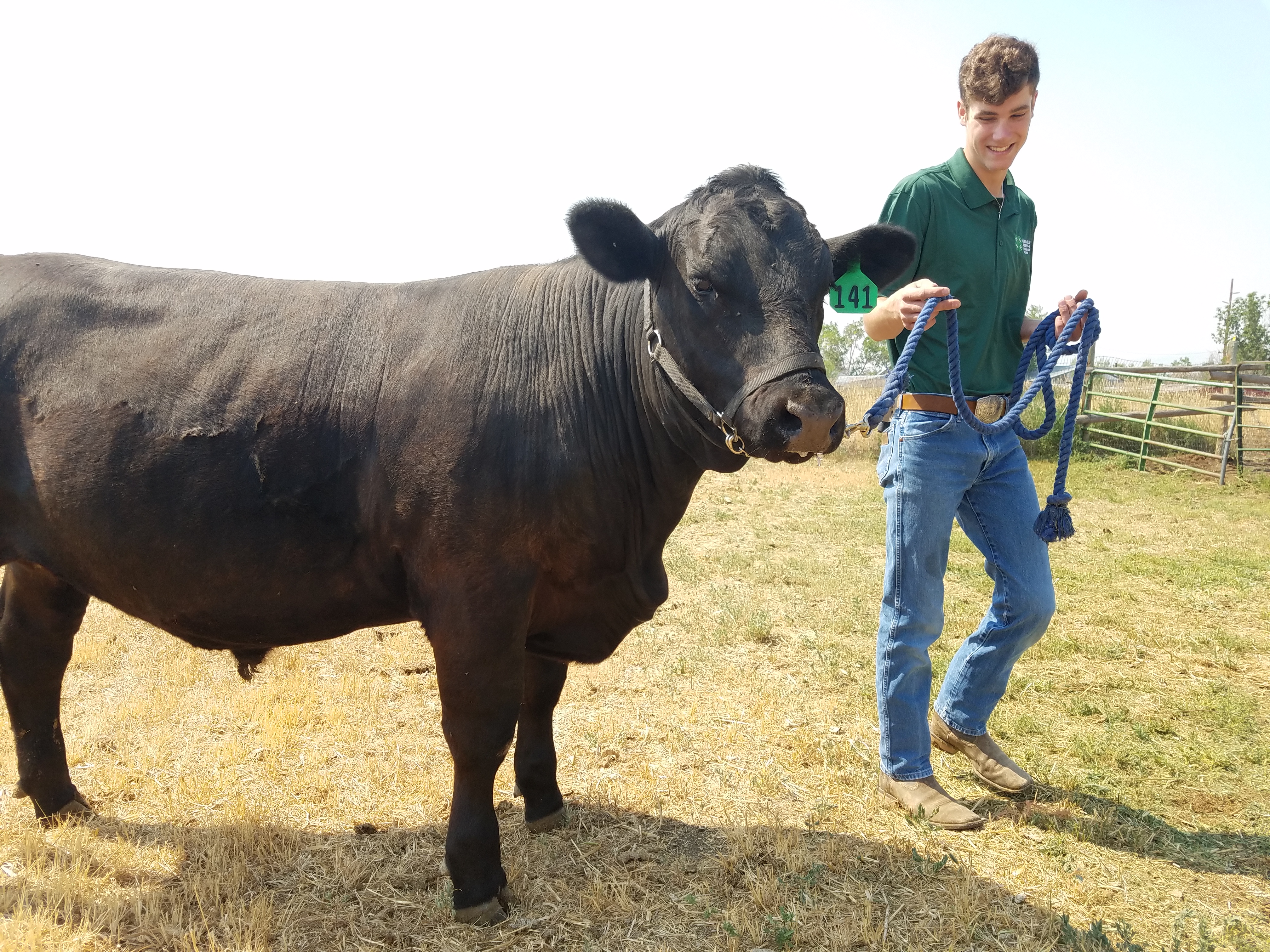 4-H provides lifelong skills for Helena teen - Vimarsana News