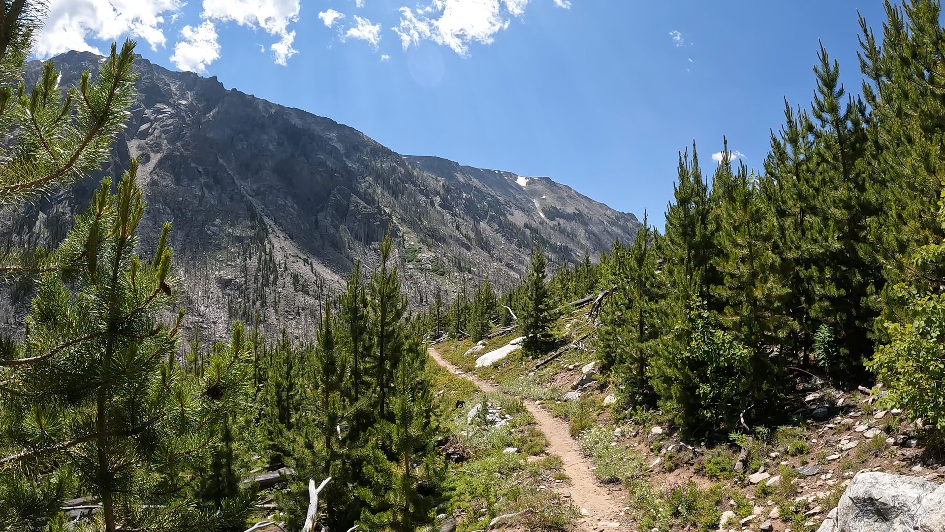 On the Trail: West Fork Trail #1 a good hike near Red Lodge - Vimarsana News