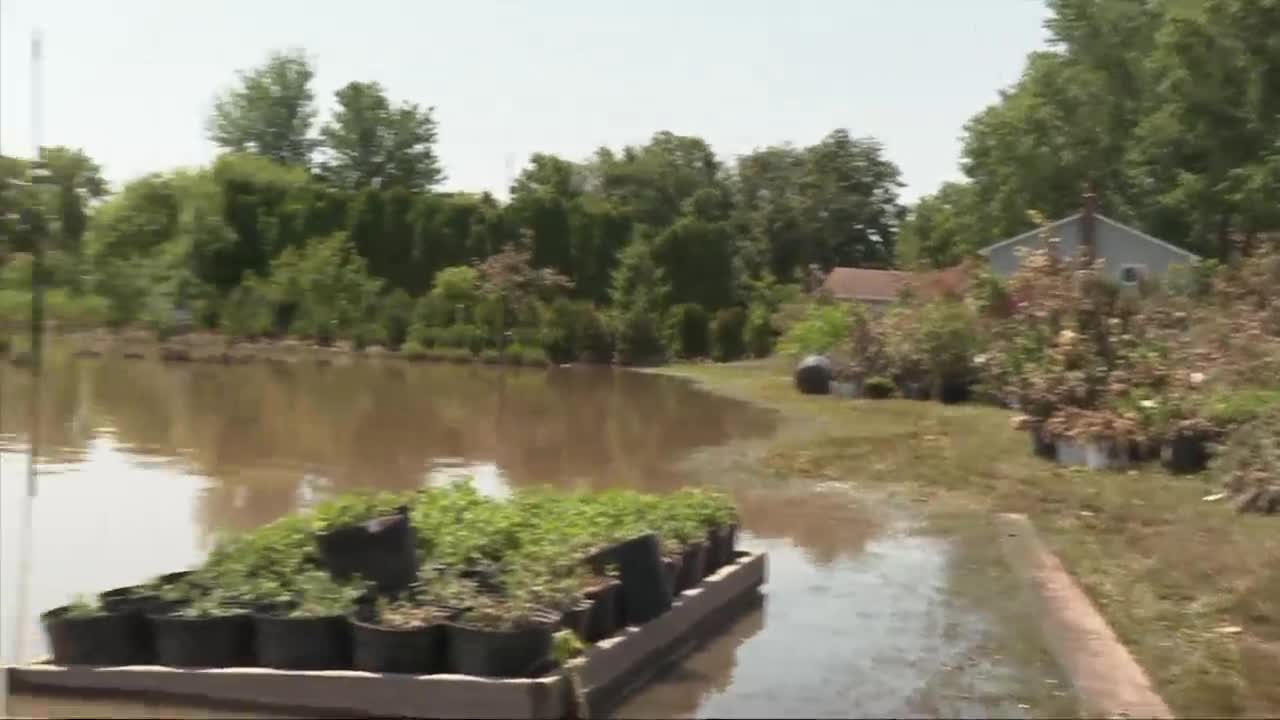 Farms in Cambria deal with flooding as more rain looms - Vimarsana News