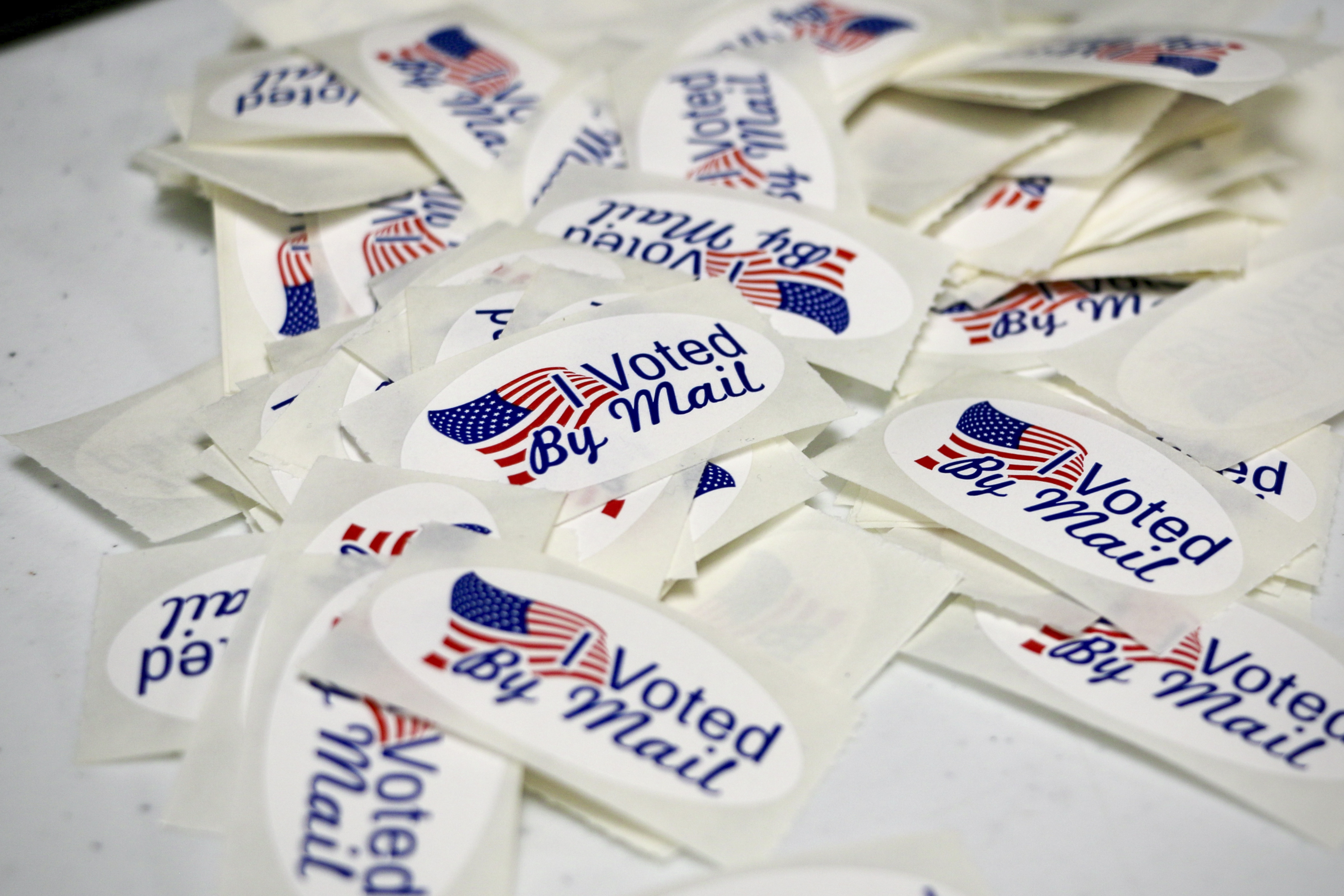 Election officials brace for confrontational poll watchers - Vimarsana News