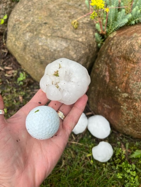 'It was apocalyptic': Davison community cleaning up after massive hailstorm - Vimarsana News