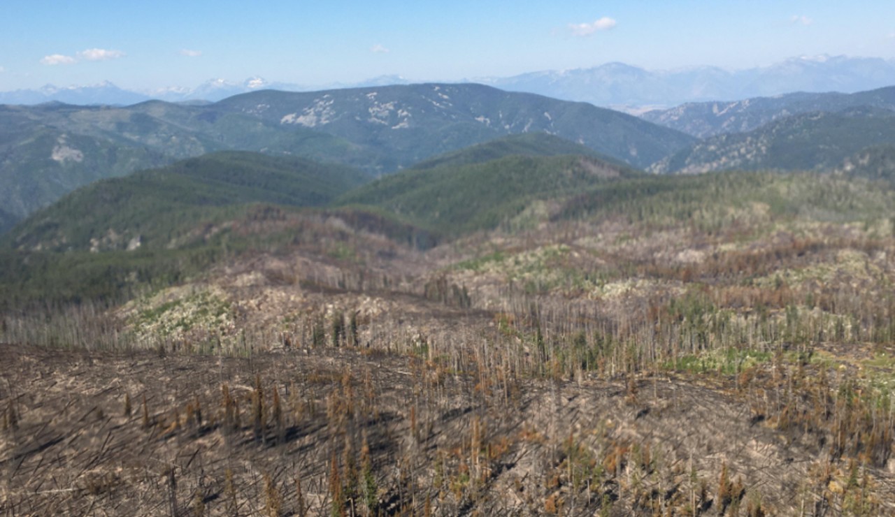 Hog Trough Fire grows slightly to 611 acres - Vimarsana News