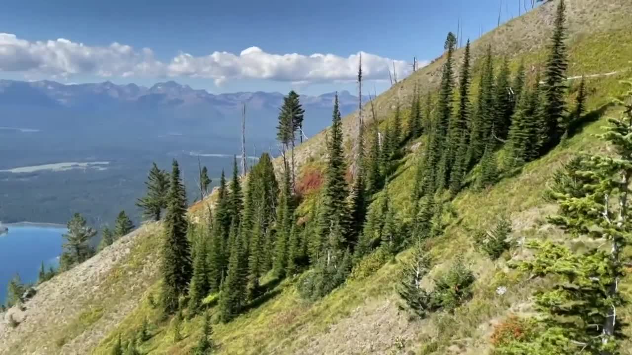 Out and About: Fall hiking in Western Montana - Vimarsana News