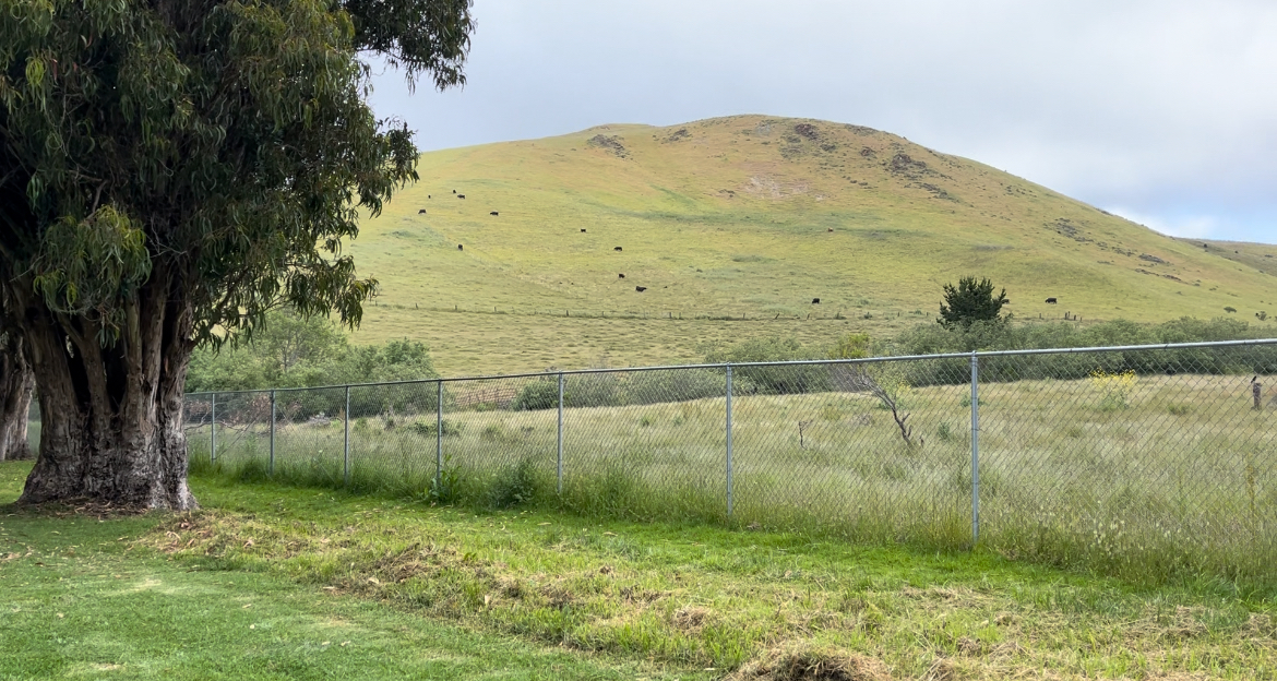 Toro Coast Preserve project needs your help to complete its second phase - Vimarsana News