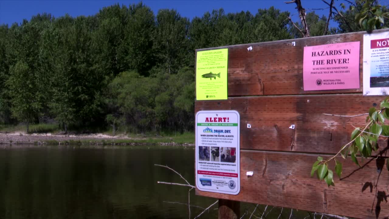 Warming water prompts fishing restrictions on Bitterroot, other rivers - Vimarsana News
