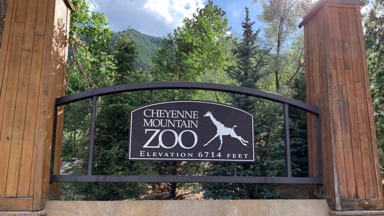 Cheyenne Mountain Zoo opens annual 'Zoo Ball,' an online silent auction - Vimarsana News