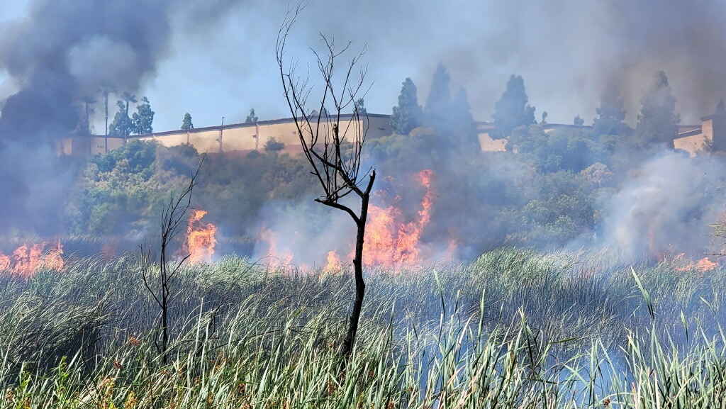 Multiple brush fires reported in Oceanside, nearby businesses evacuated - Vimarsana News