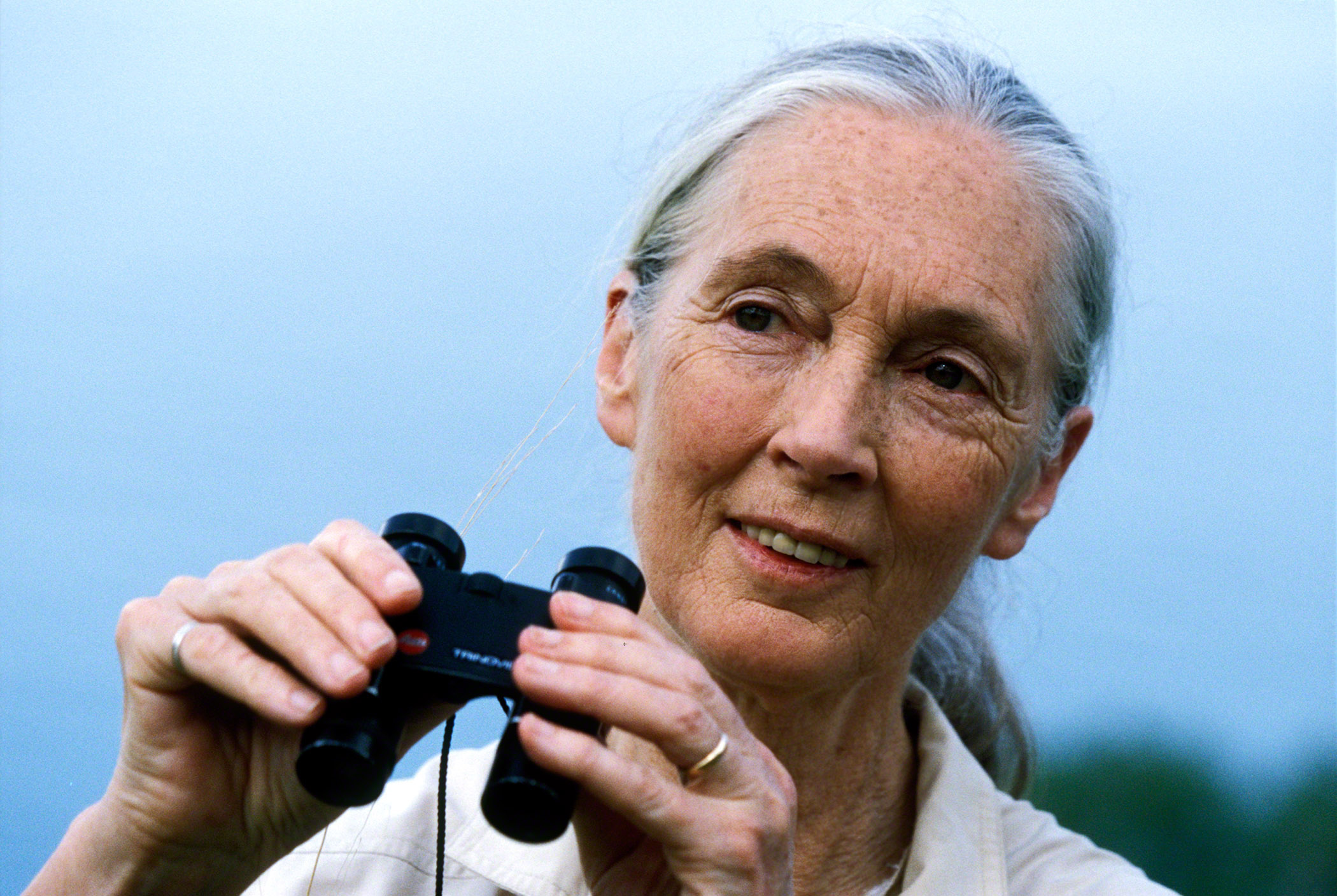 Famed ethologist and conservationist Dr. Jane Goodall to speak at UM - Vimarsana News