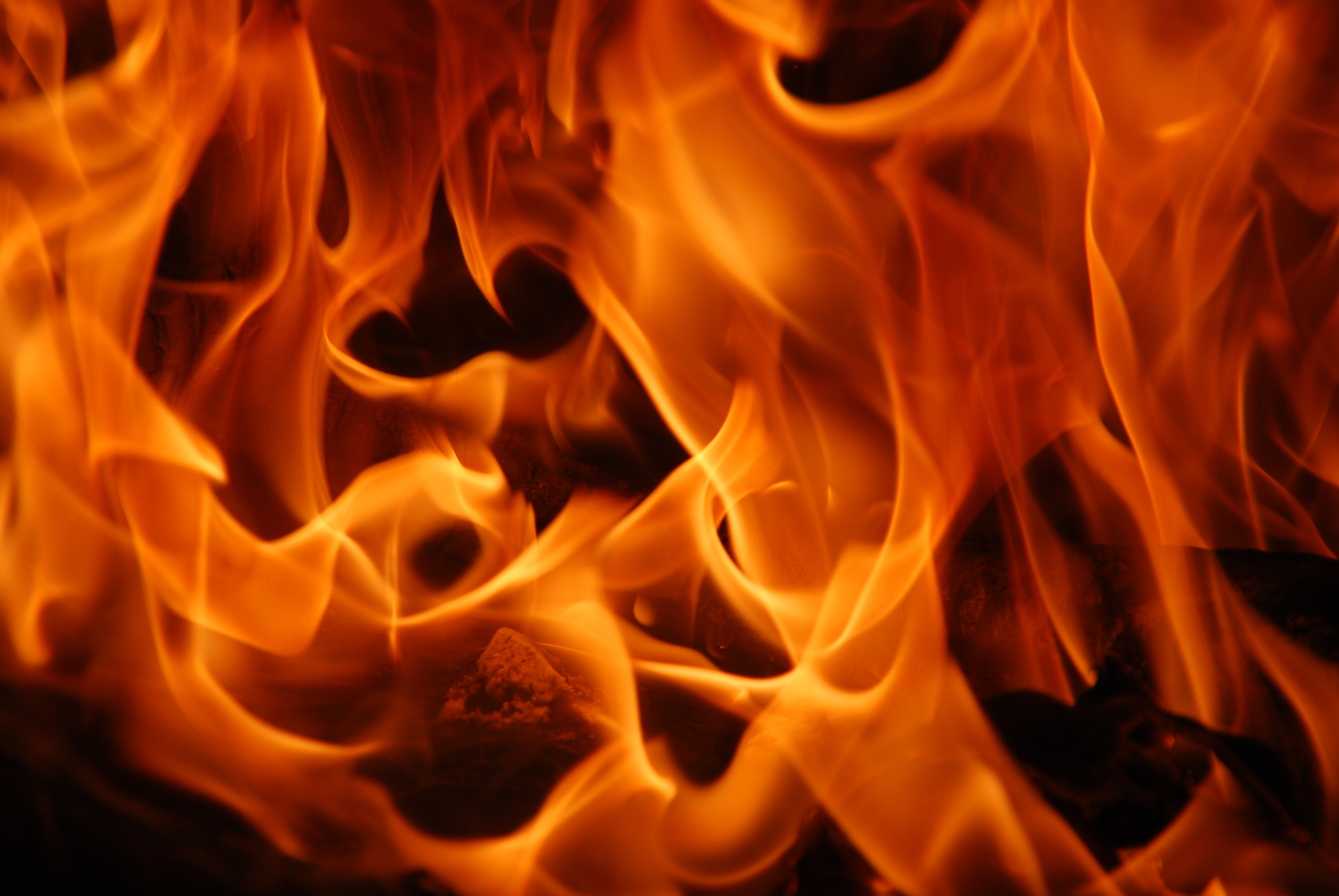 3 adults, 2 children displaced after fire spreads from one Norfolk home to another - Vimarsana News