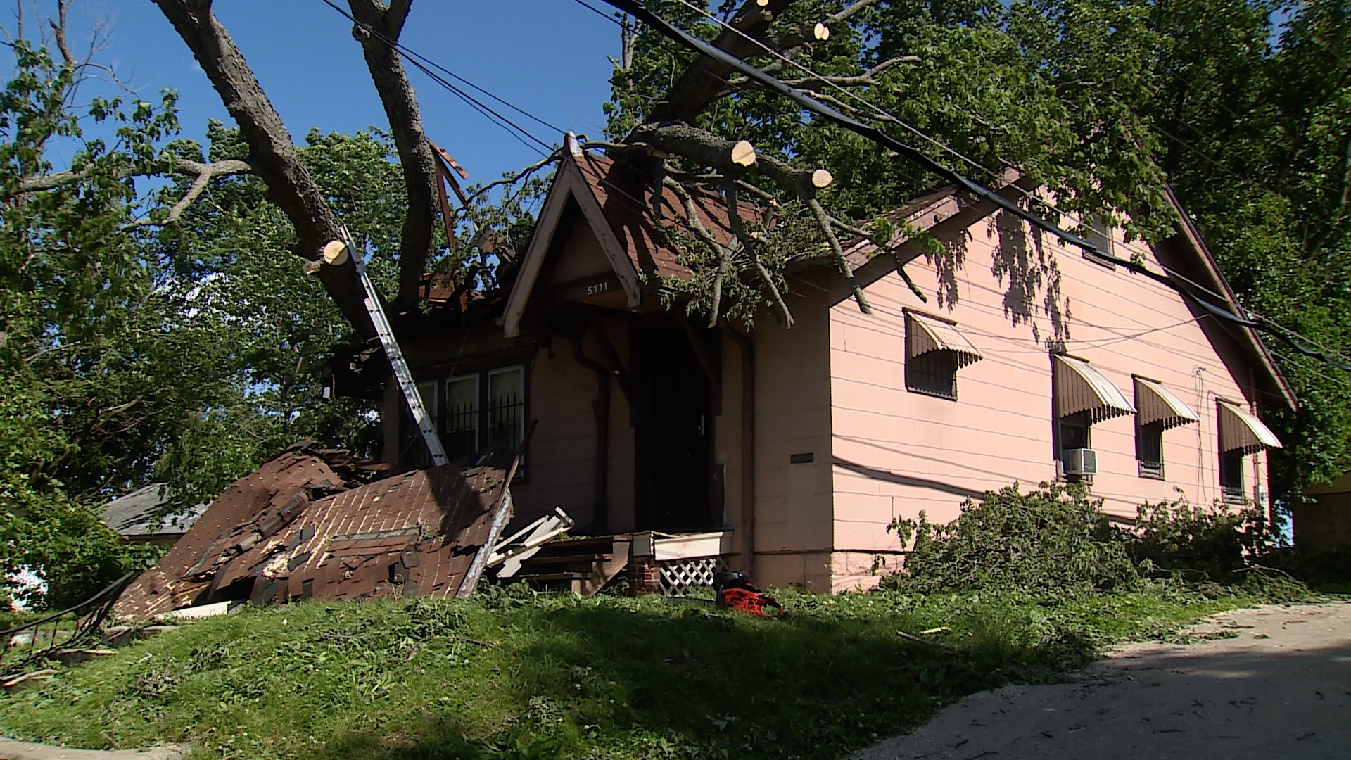 Tree crashes through KC woman's living room, forces her to move out of her house - Vimarsana News