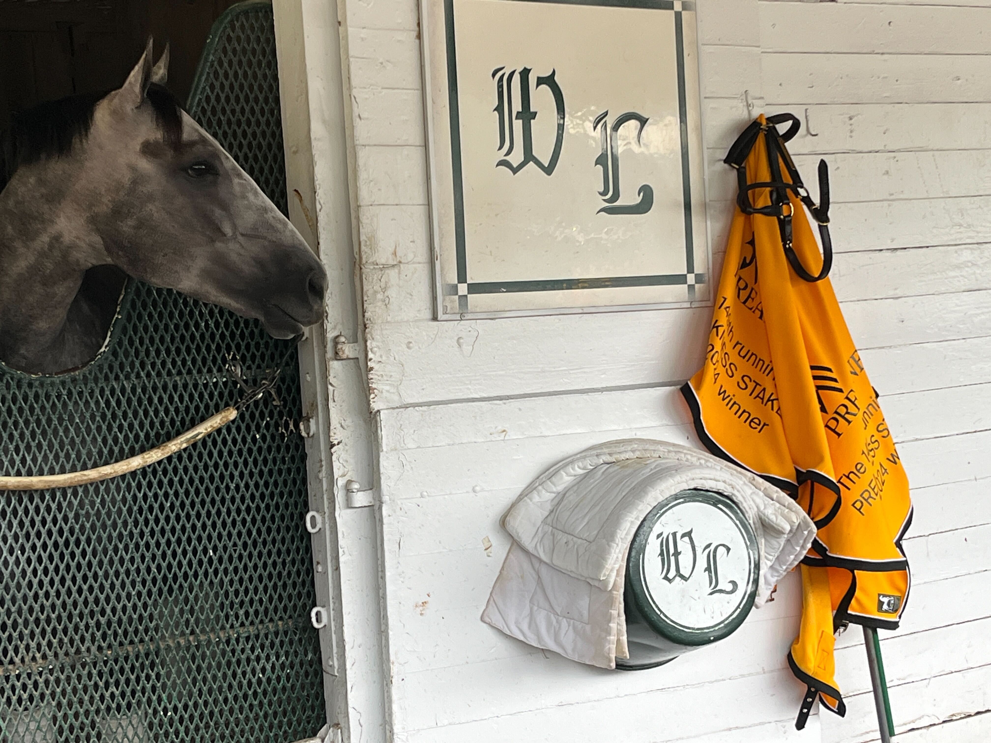 Travelers go to Churchill Downs to celebrate Seize The Gray - Vimarsana News