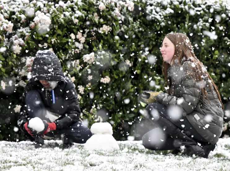 Los Angeles area still blanketed by snow in rare heavy storm - Vimarsana News
