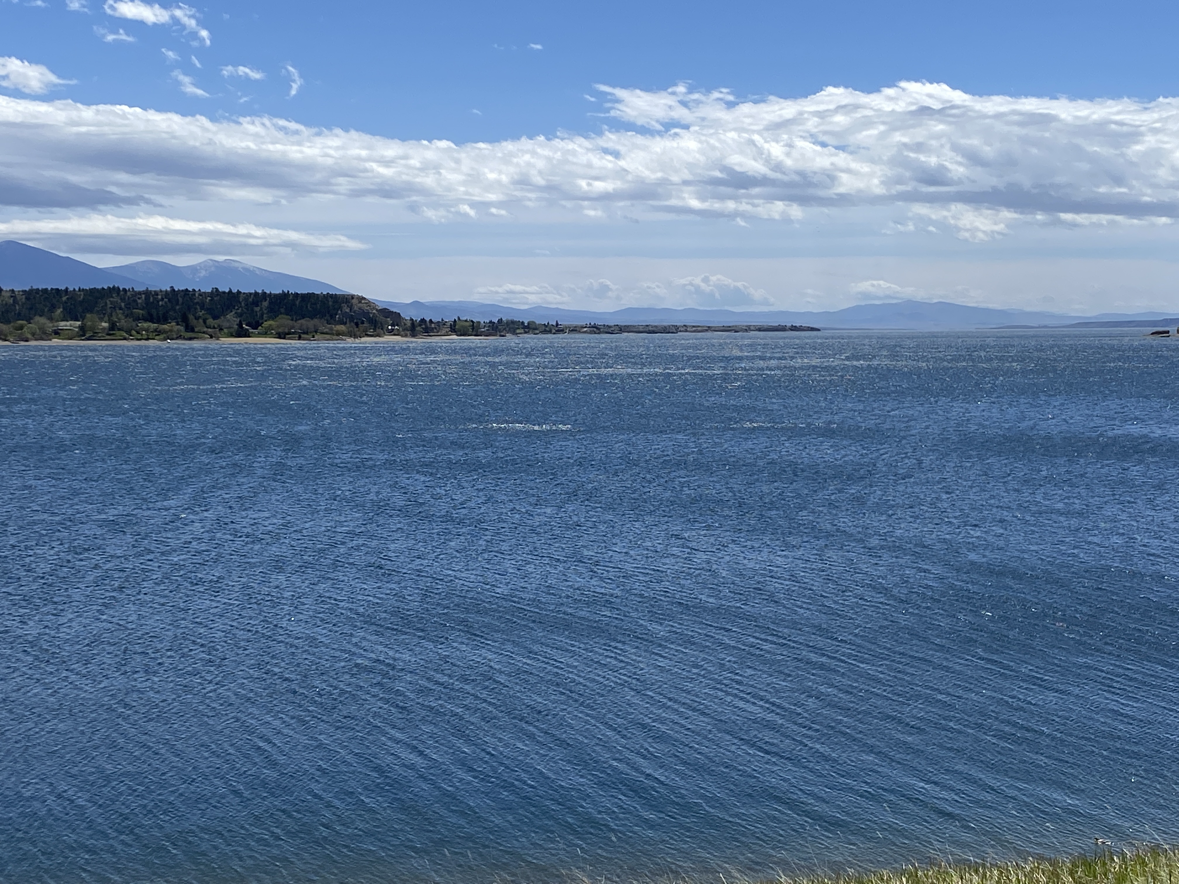 Harmful algal bloom discovered at Canyon Ferry - Vimarsana News