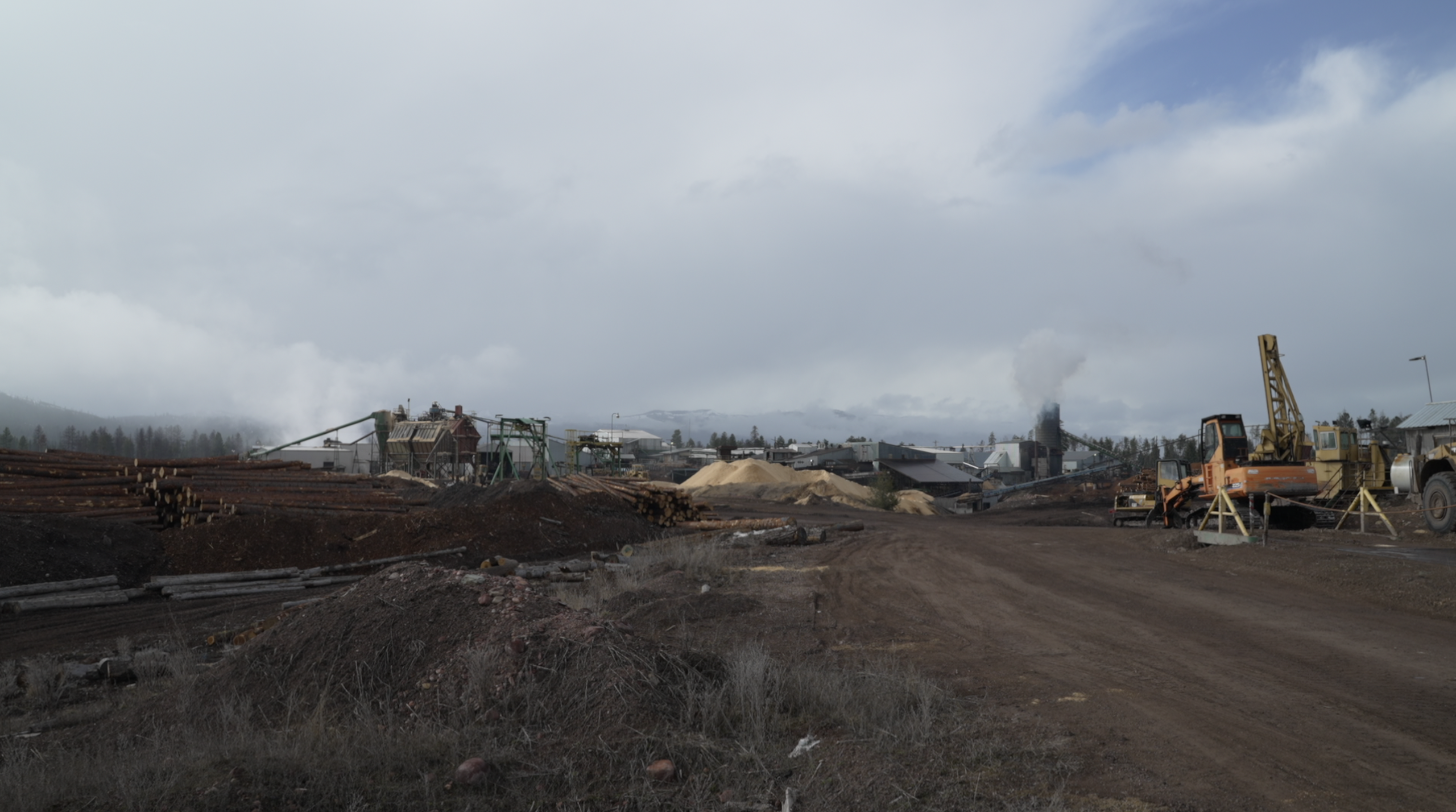 Pyramid Mountain Lumber provides update on mill operations - Vimarsana News