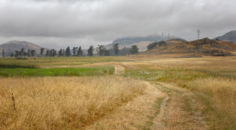 May Gray will continue to impact the beaches and coastal valleys next week - Vimarsana News