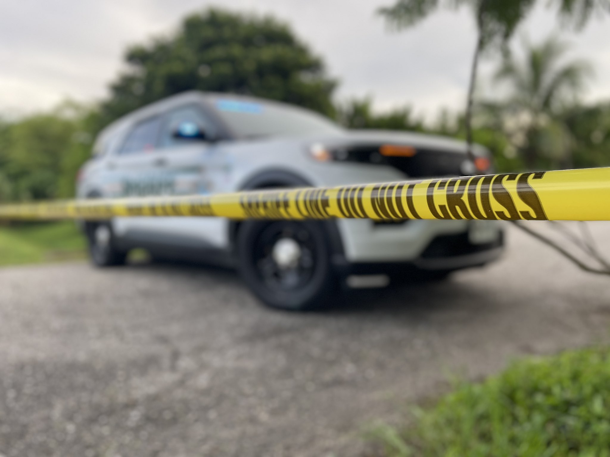 1 confirmed dead in Jersey Rd. shooting, investigation ongoing - Vimarsana News