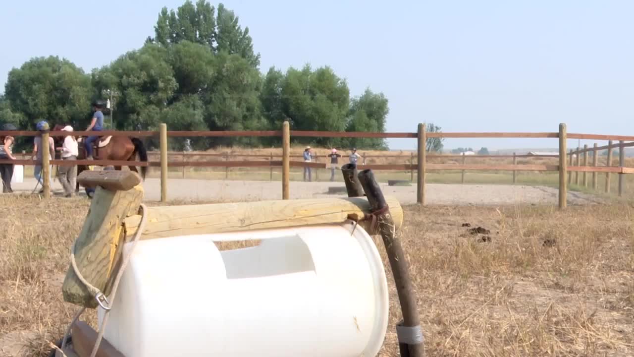 Montana Reins of Hope offers healing to horses, humans and habitat - Vimarsana News