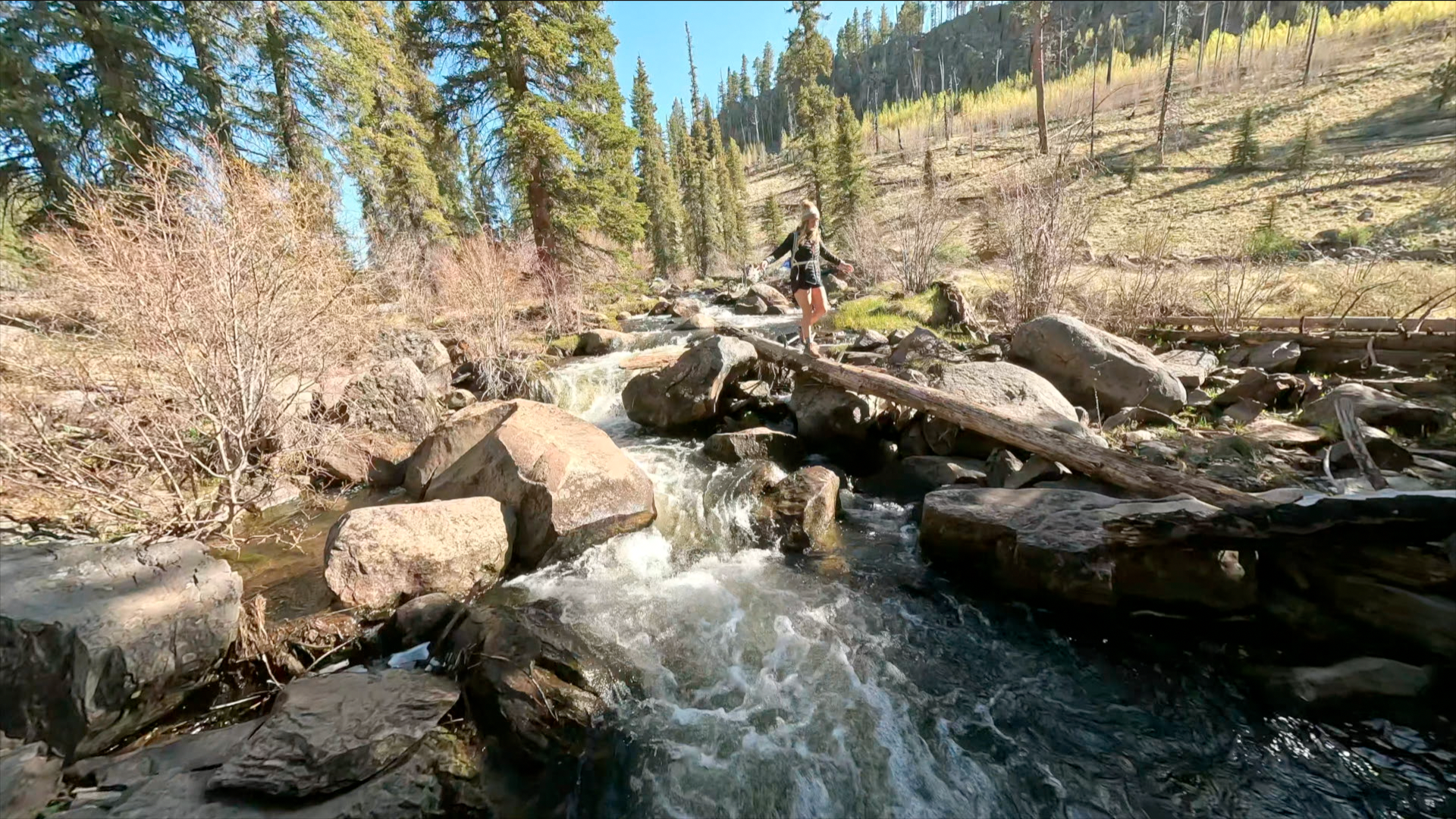 Thompson Trail #629 is a magical hike in AZ's White Mountains - Vimarsana News
