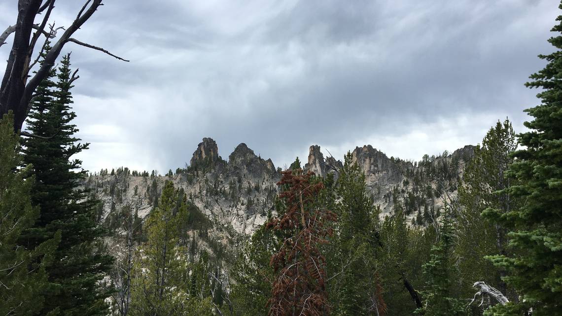 2 dead, 1 injured after McCall airplane crashes in Idaho's Frank Church Wilderness area - Vimarsana News