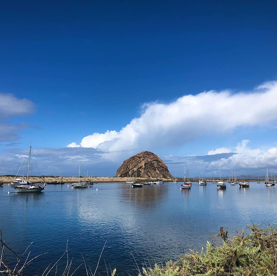 The 20th Morro Bay Kite Festival continues to create lifelong memories - Vimarsana News