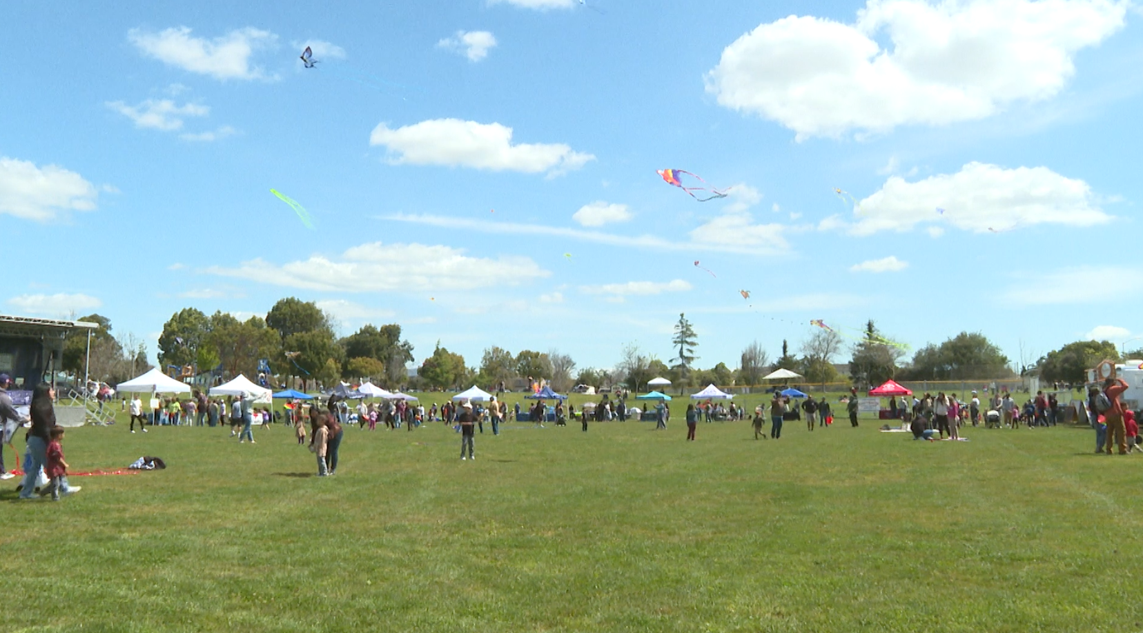 Families attend Santa Maria's annual Family Kite Festival - Vimarsana News