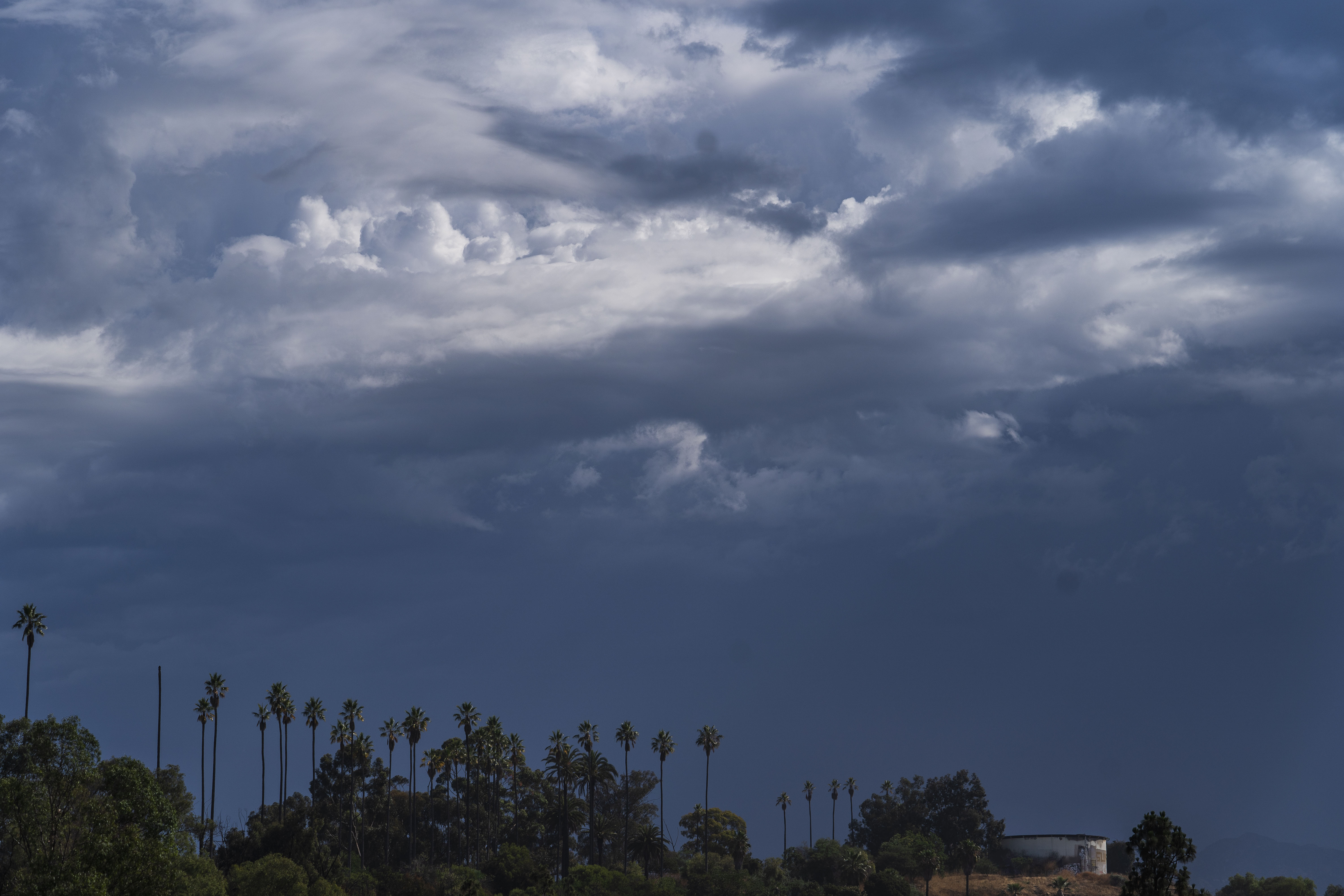 Lightning strike kills woman, 2 dogs in Southern California - Vimarsana News