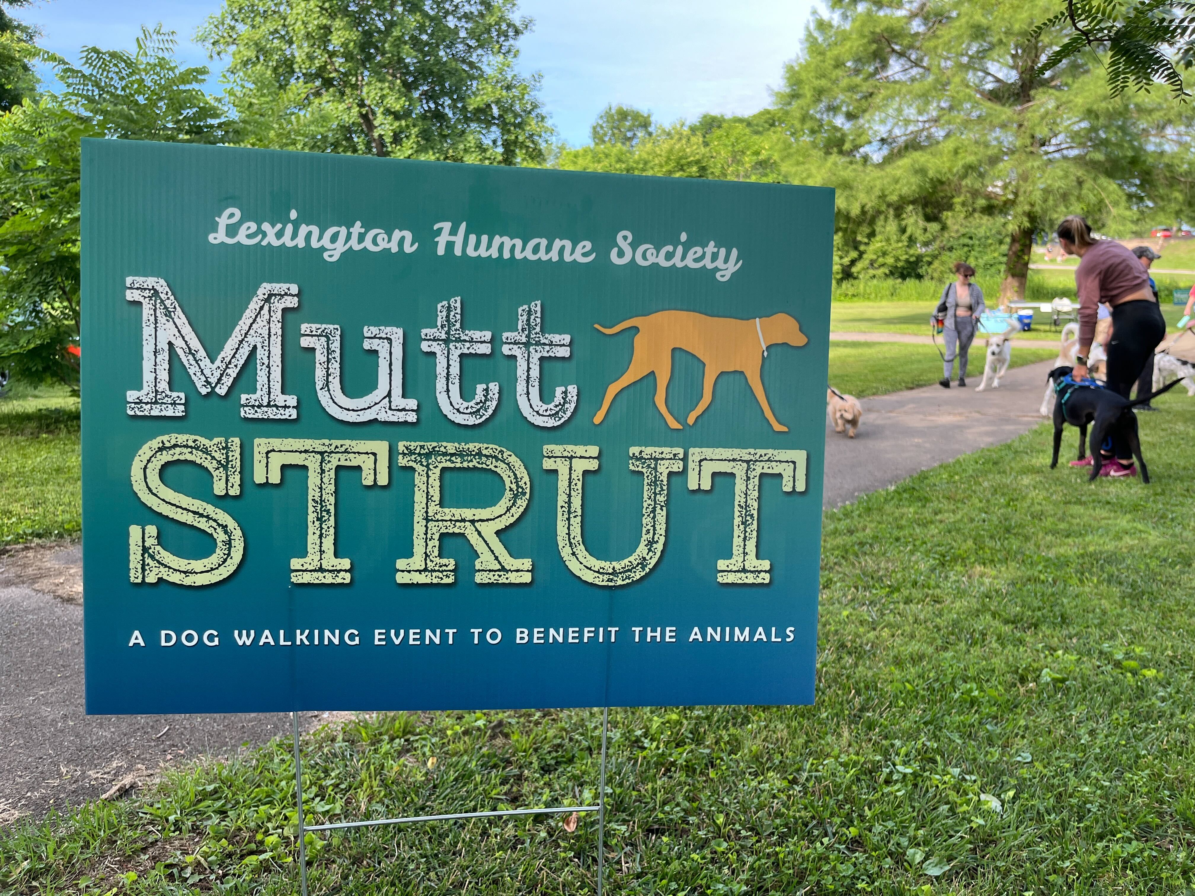 Annual Mutt Strut raising money for Lexington Humane Society - Vimarsana News