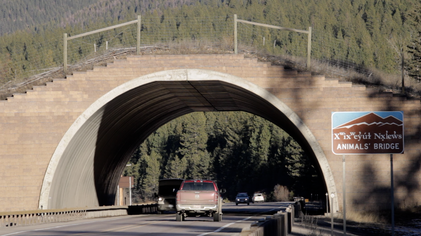 CSKT receive federal grants to improve safety on U.S. Highway 93 - Vimarsana News