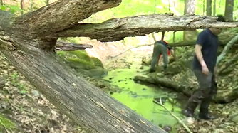 How Henrico man discovered a creek bed that could produce Virginia's first dinosaur bones - Vimarsana News