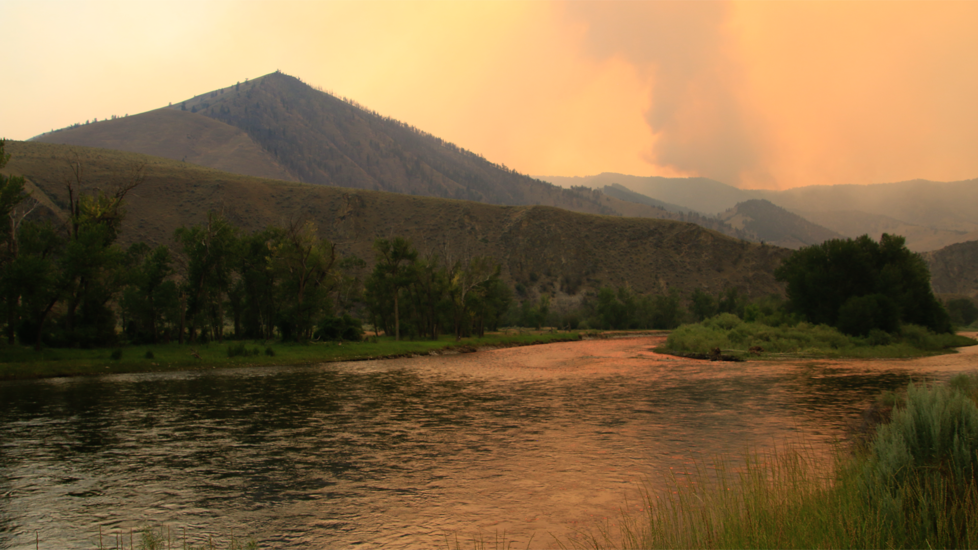 Conditions ease somewhat, but still hard work ahead on Moose Fire - Vimarsana News