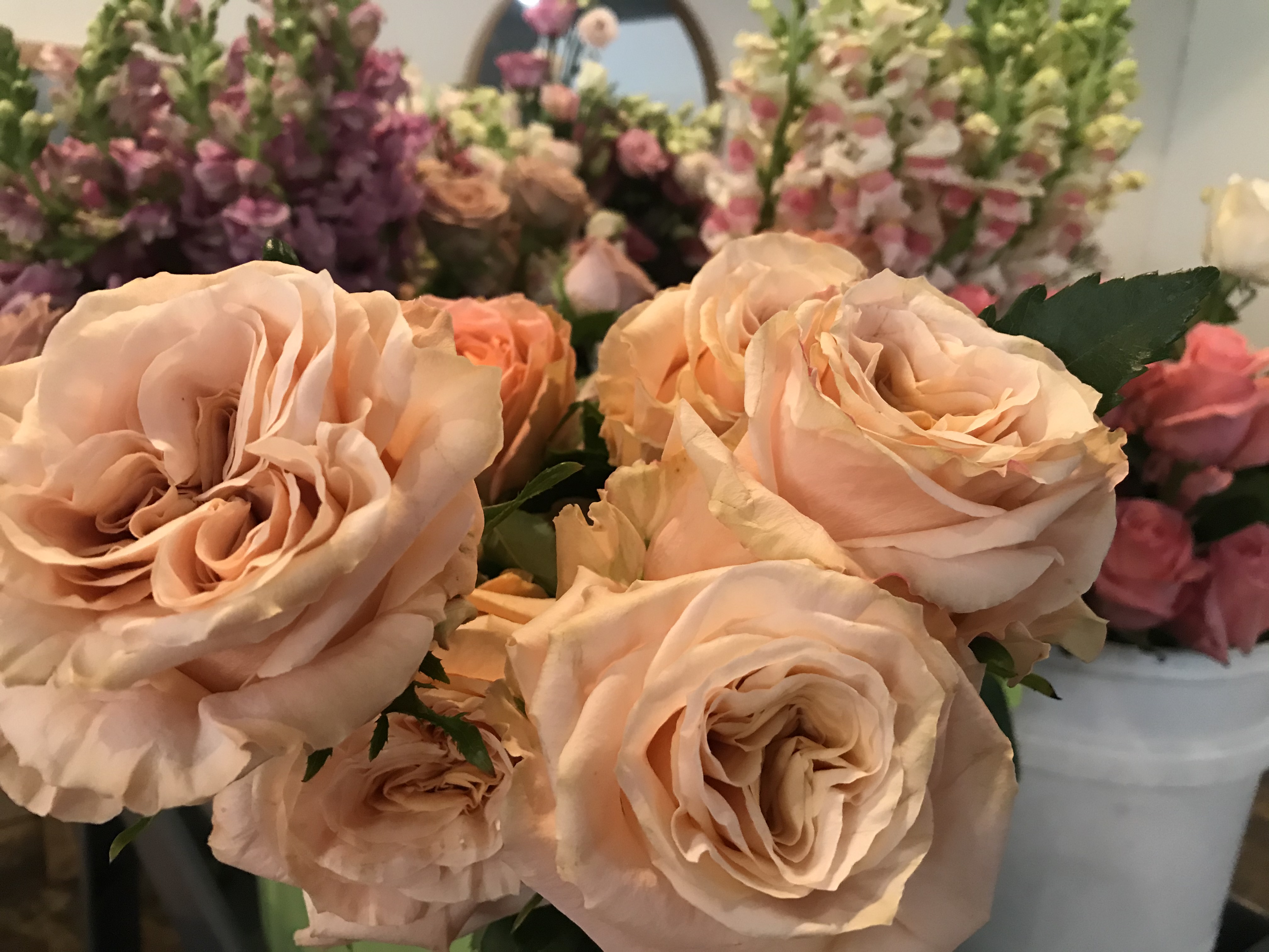 New business opens up in Downtown Lafayette just in time for Mother's Day - Vimarsana News