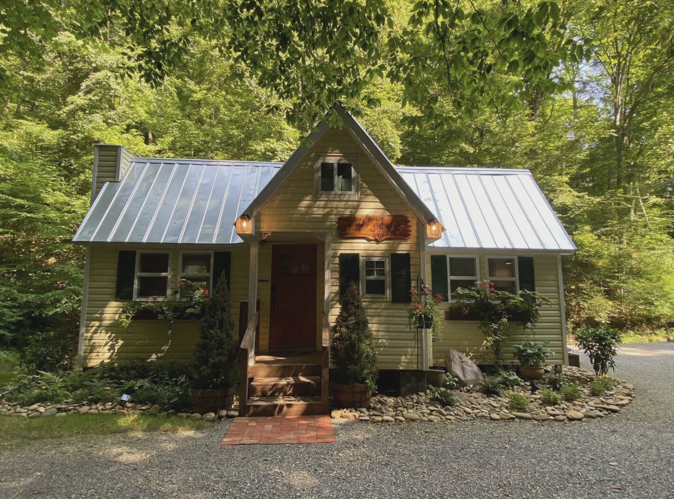 Where to see the synchronous fireflies without a lottery in East Tennessee - Vimarsana News