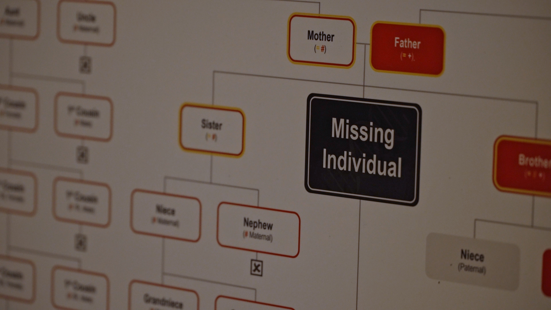 Department of Defense visits with Montana families of missing servicemembers - Vimarsana News