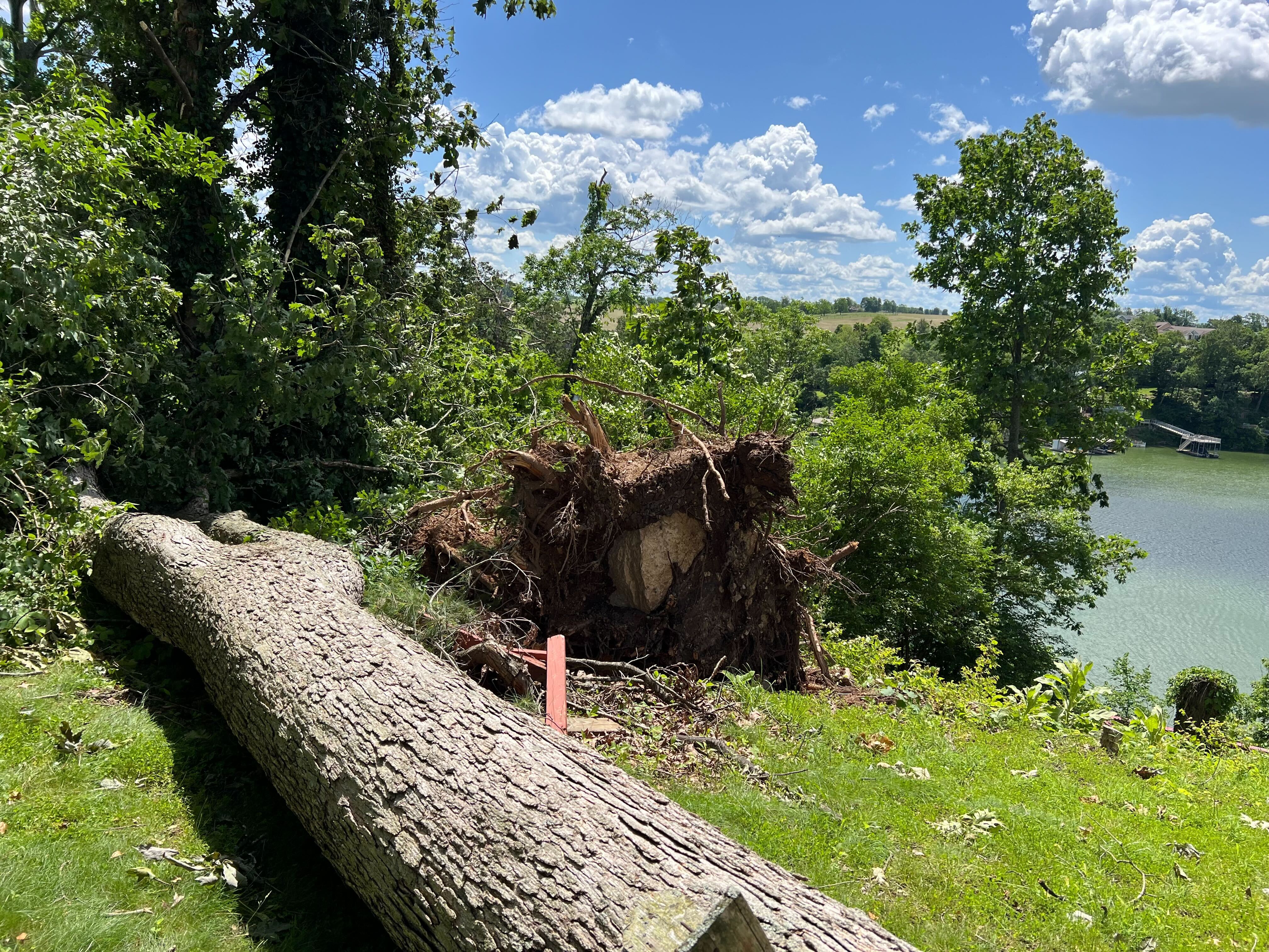 NWS: Straight-line winds caused damage in Mercer County - Vimarsana News