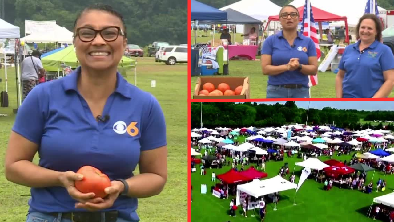 Hanover Tomato Festival continues Saturday: 'Look at the size of this!' - Vimarsana News