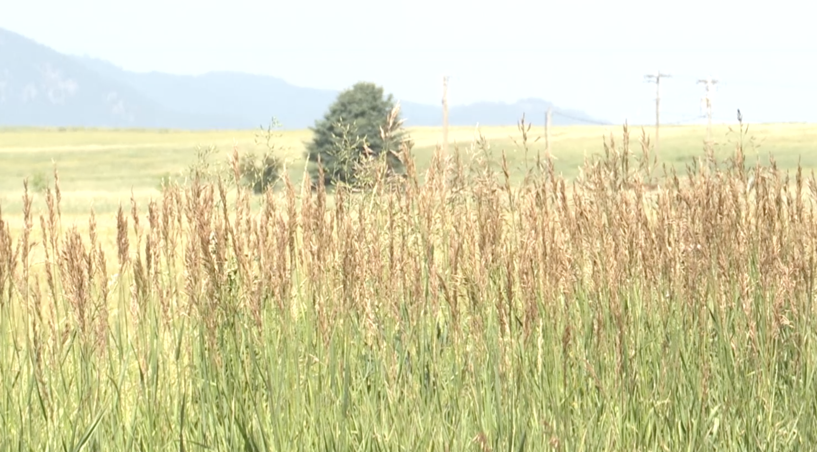 Spring burning reminder issued in the Flathead - Vimarsana News