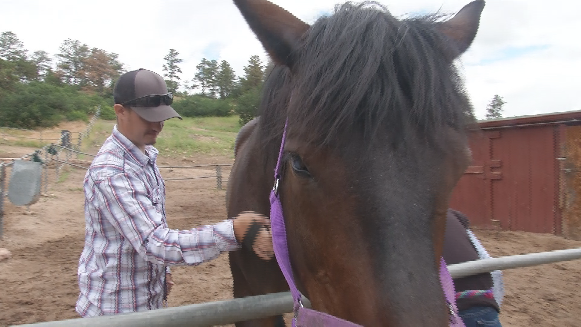 Local organization helping military members heal through work with horses - Vimarsana News