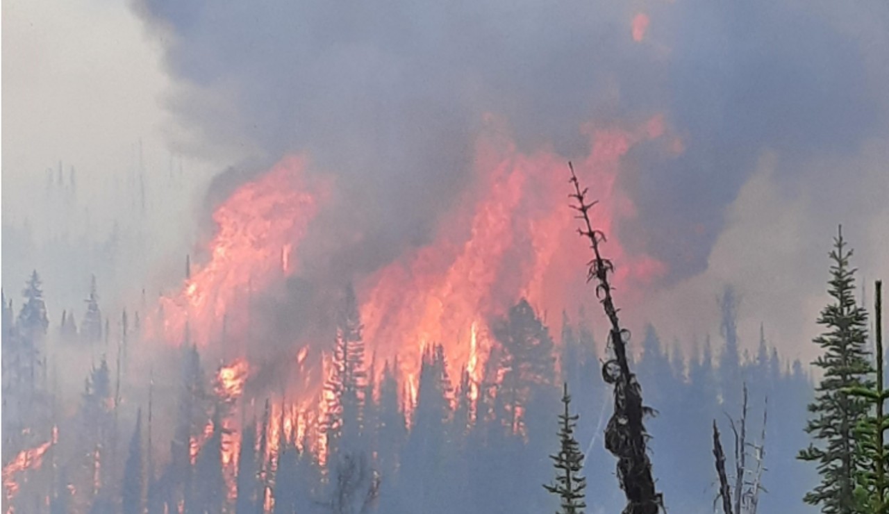 Weasel Fire burning 3,000 acres - Vimarsana News