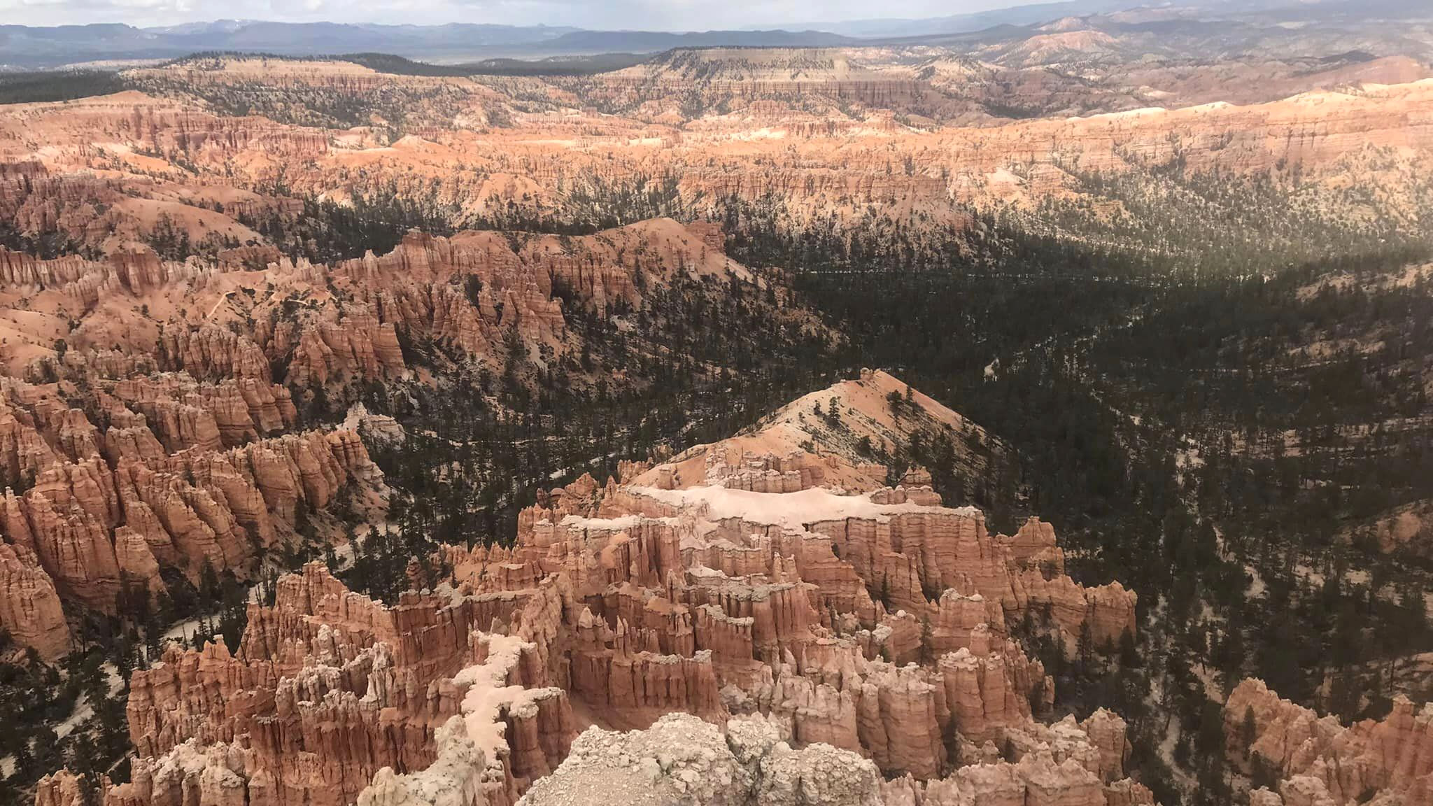 Fla. Senate president's husband dies after falling at national park - Vimarsana News