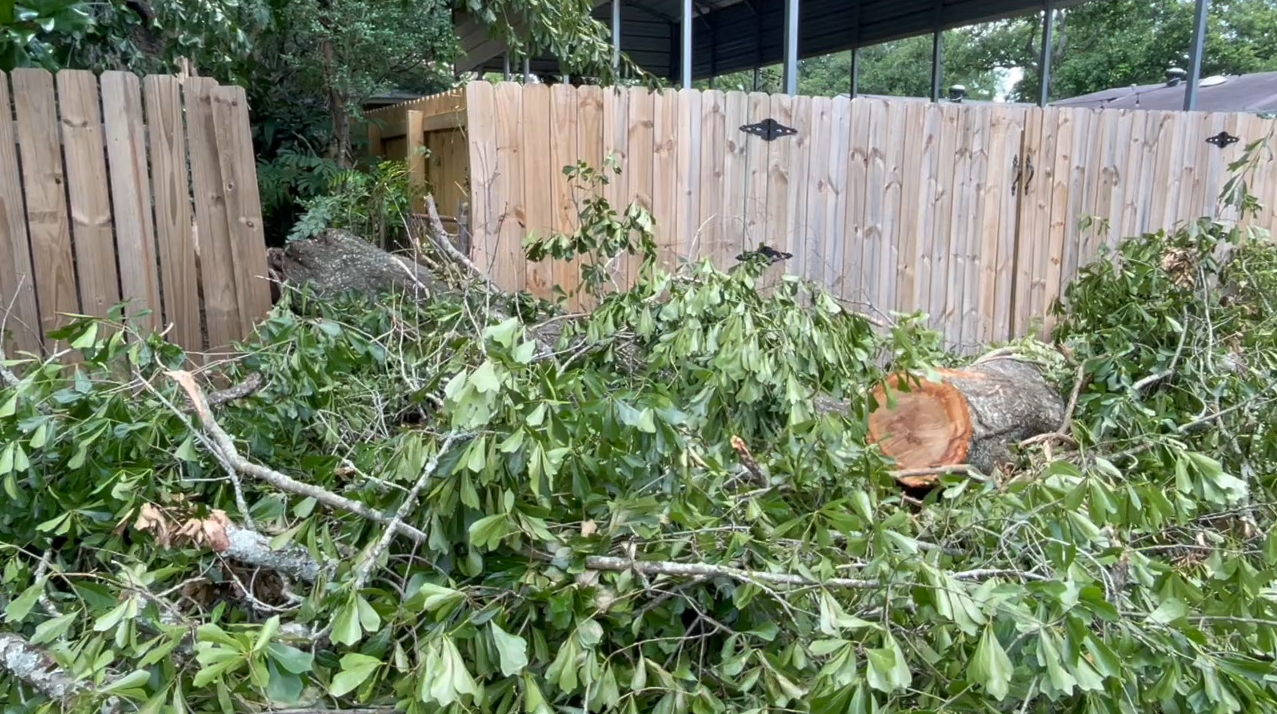 Residents across Acadiana are recovering from two storms in one week - Vimarsana News
