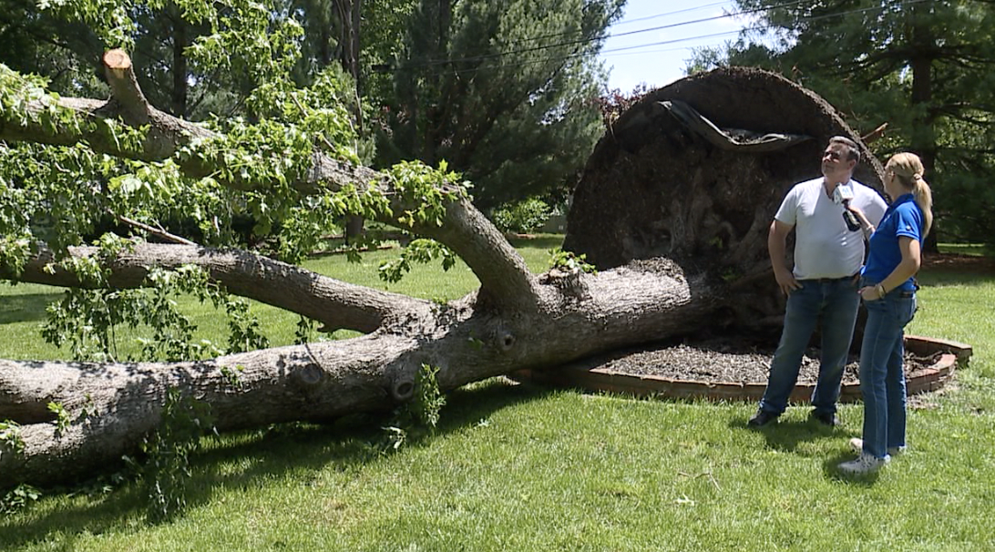 Severe weather leaves Overland Park residents cleaning up during holiday weekend - Vimarsana News