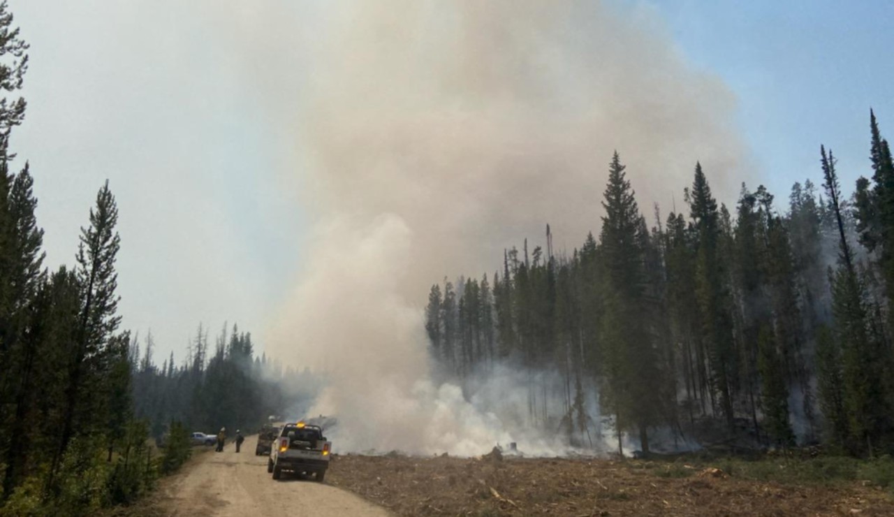 Moose Fire grows to over 101,000 acres - Vimarsana News