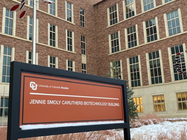 CU researchers, global partners model which COVID vaccine distribution strategies work best - Vimarsana News