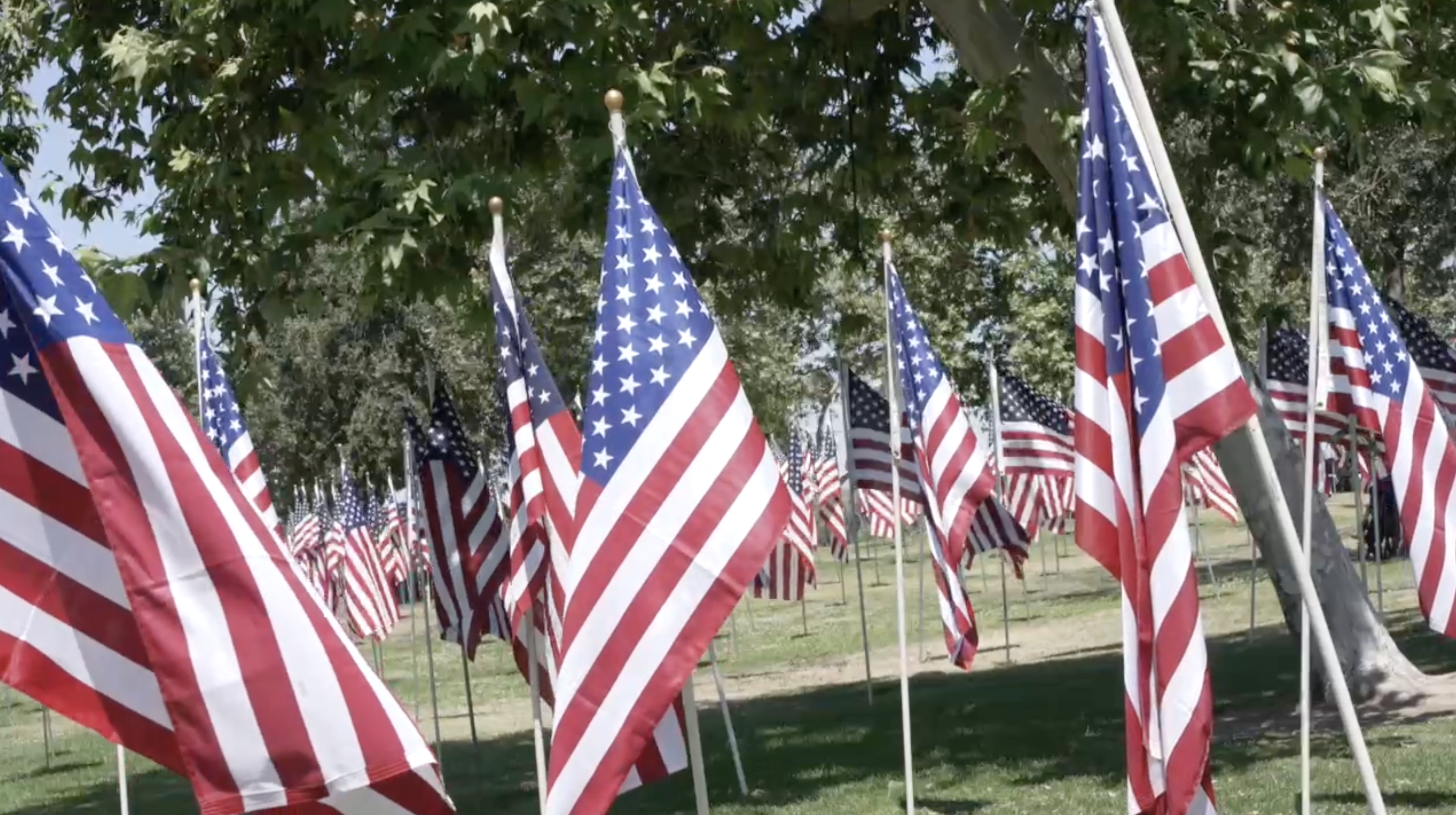 A Thousand Flags event in Bakersfield features new addition of skydivers - Vimarsana News