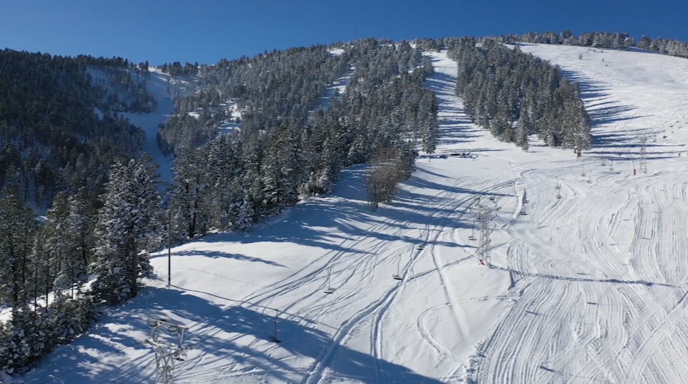 Out and About: get painted gala and Great Divide pond skim - Vimarsana News